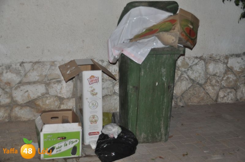 trash lud 907 (57).JPG